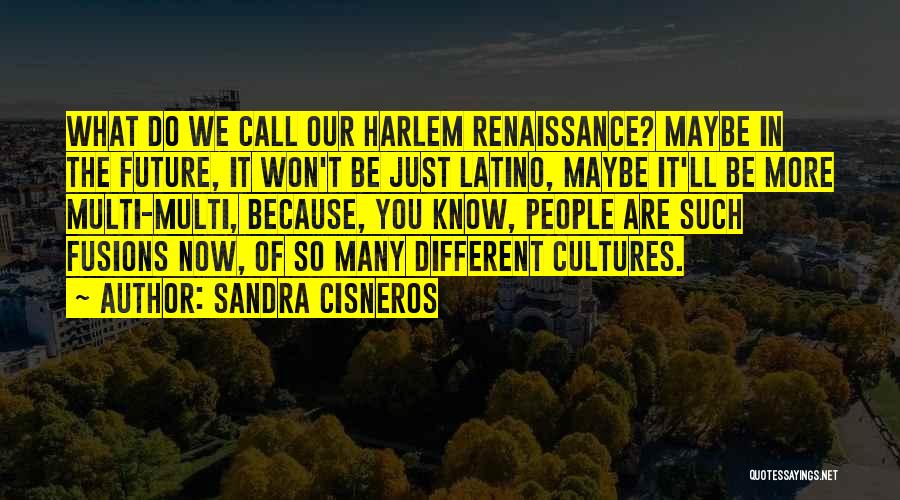 Besiege The Game Quotes By Sandra Cisneros