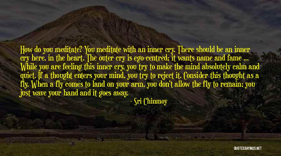 Besieged Clash Quotes By Sri Chinmoy