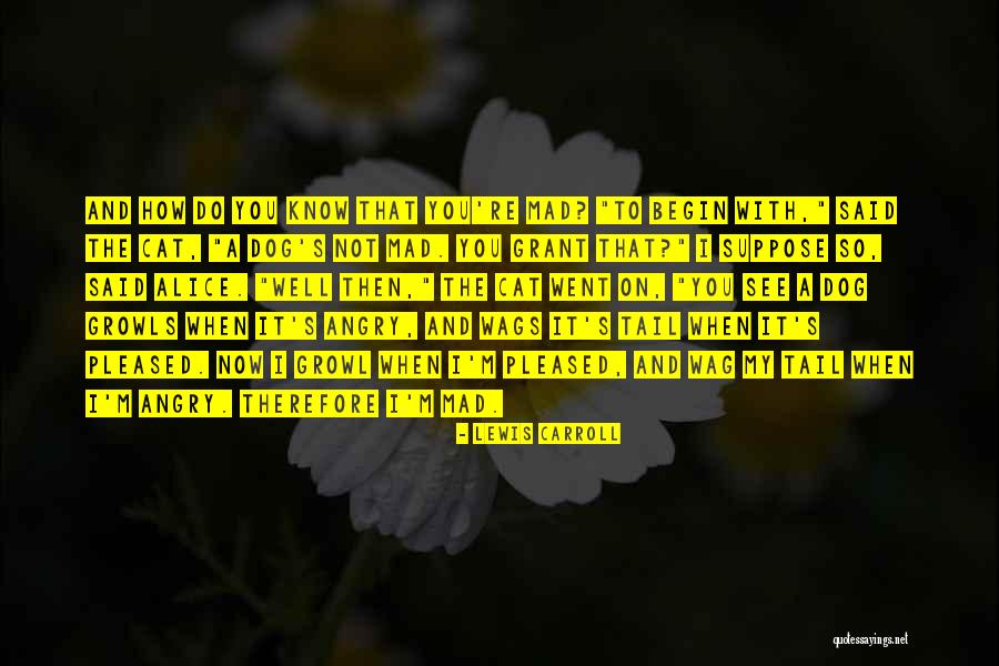 Besorgt Sein Quotes By Lewis Carroll Besorgt Sein Quotes By Lewis Carroll