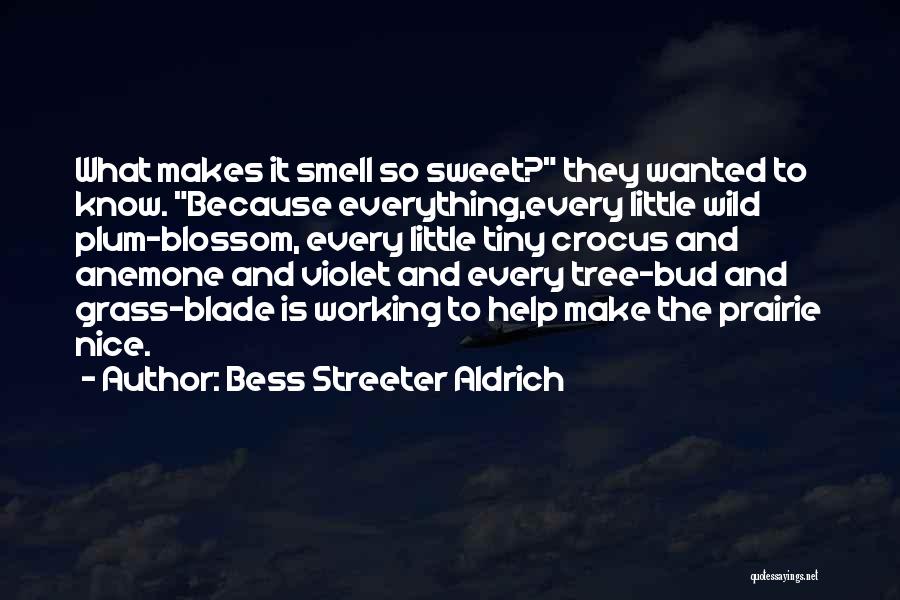 Bess Streeter Aldrich Quotes 1765865