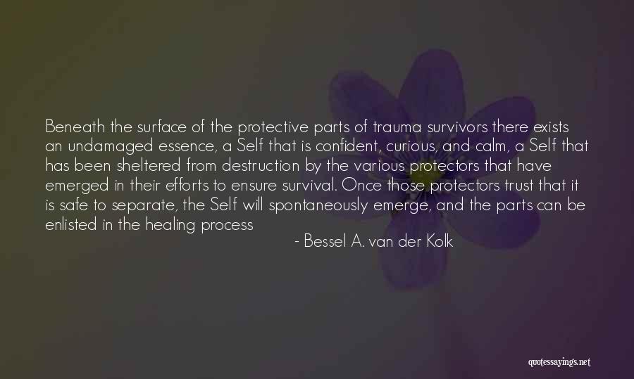 Bessel A. Van Der Kolk Quotes 1169093