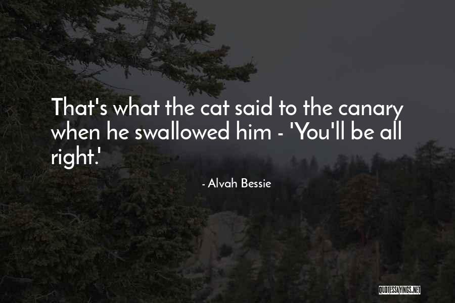 Bessie Quotes By Alvah Bessie