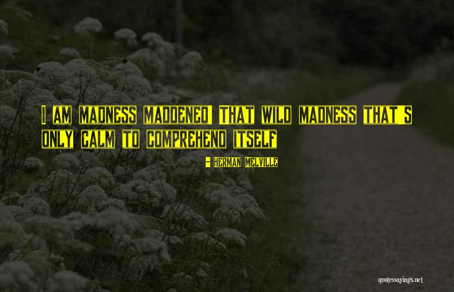 Besson Director Quotes By Herman Melville Besson Director Quotes By Herman Melville