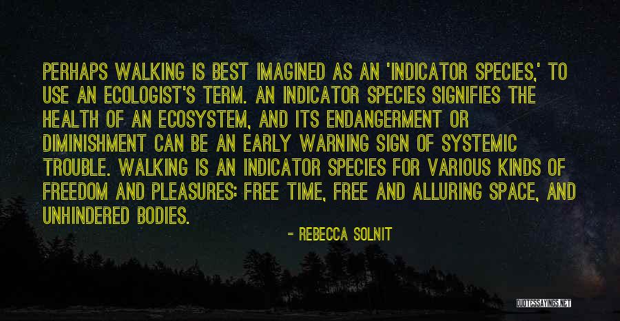 Best 250 Quotes By Rebecca Solnit