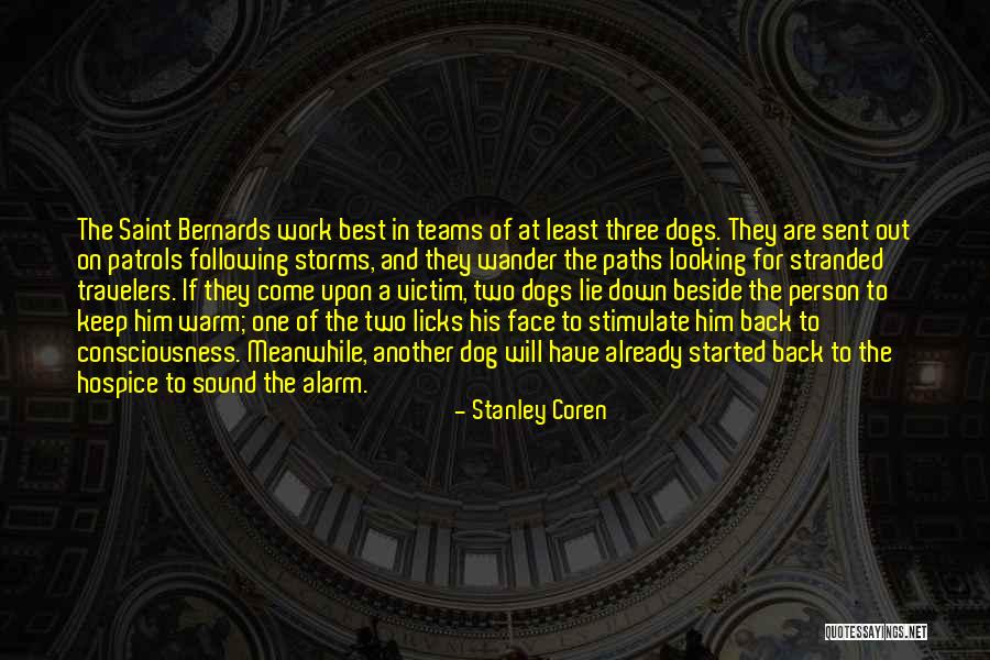 Best A Team Quotes By Stanley Coren Best A Team Quotes By Stanley Coren