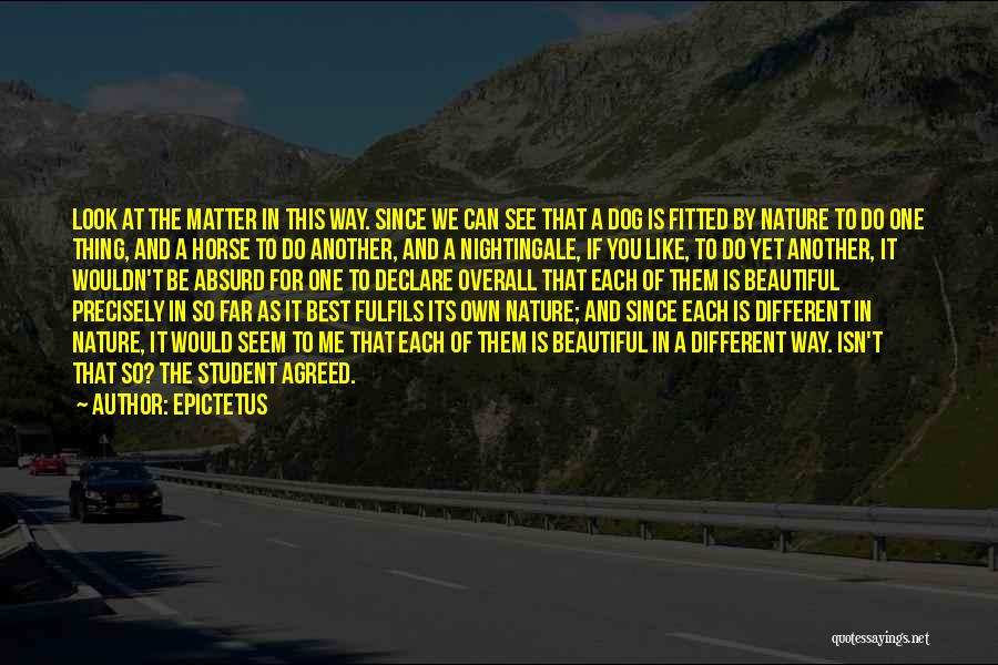 Best Absurd Quotes By Epictetus