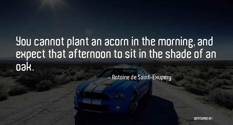 Best Acorns Quotes By Antoine De Saint-Exupery Best Acorns Quotes By Antoine De Saint-Exupery