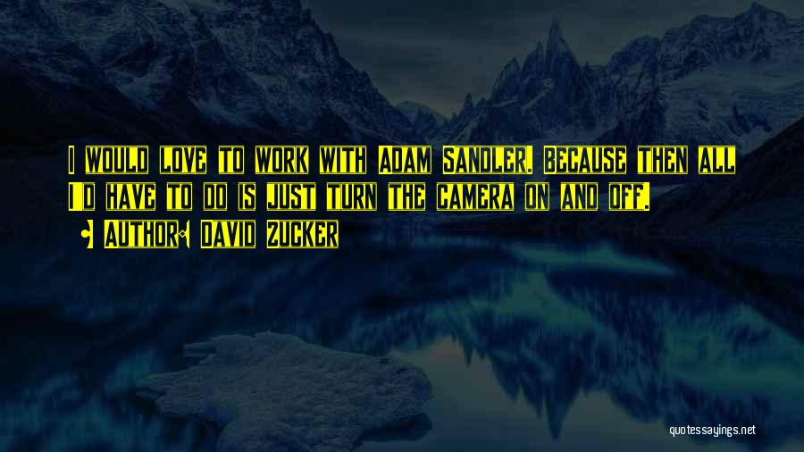Best Adam Sandler Quotes By David Zucker