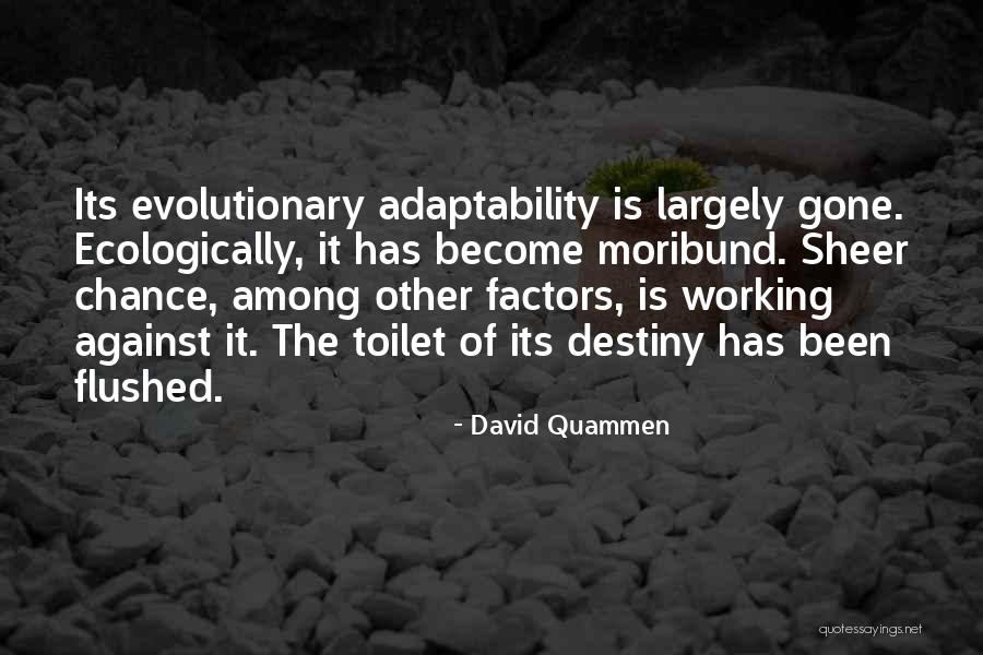 Best Adaptability Quotes By David Quammen Best Adaptability Quotes By David Quammen