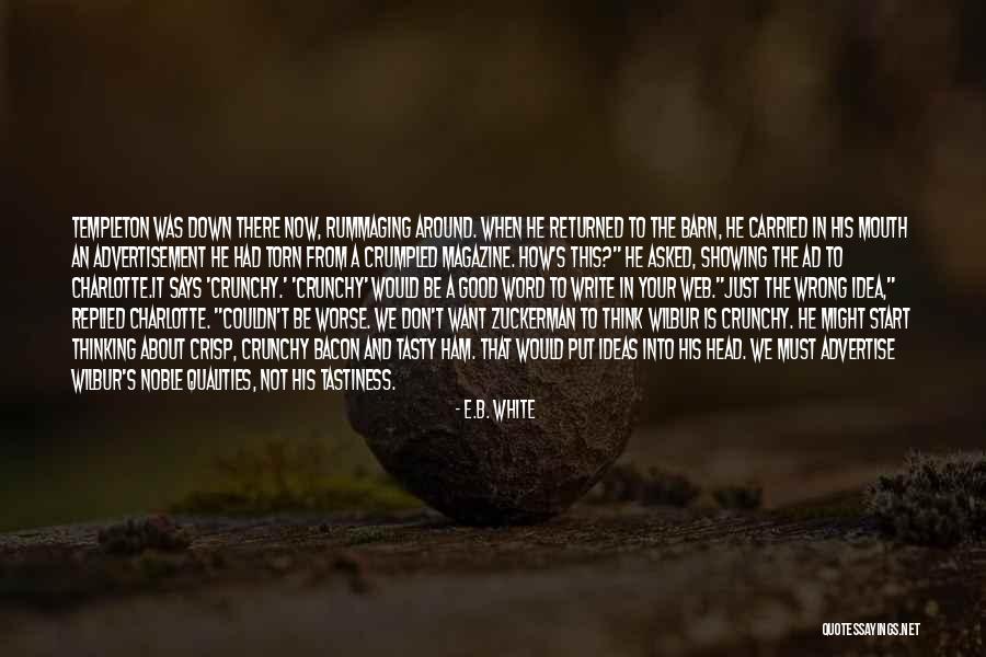 Best Advertise Quotes By E.B. White Best Advertise Quotes By E.B. White