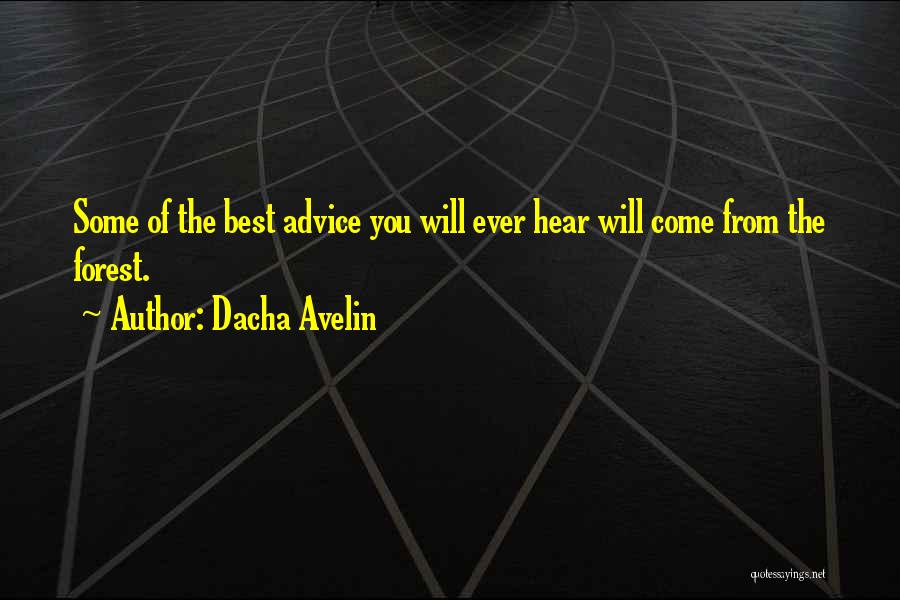 Best Advice Ever Quotes By Dacha Avelin