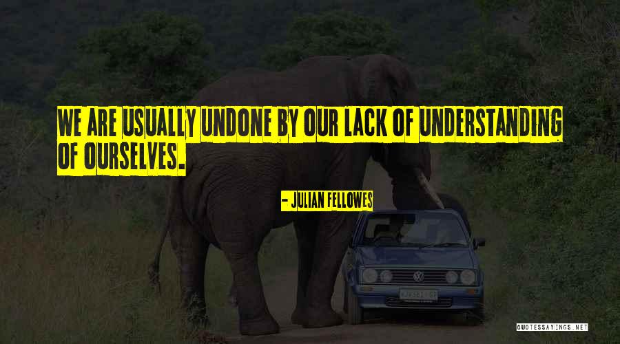 Best Advice For Life Quotes By Julian Fellowes