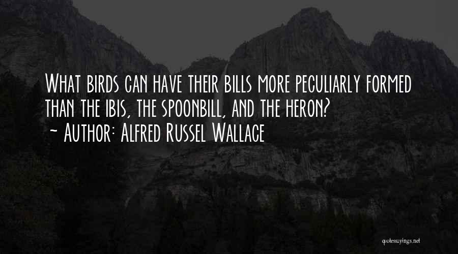 Best Alfred Russel Wallace Quotes By Alfred Russel Wallace