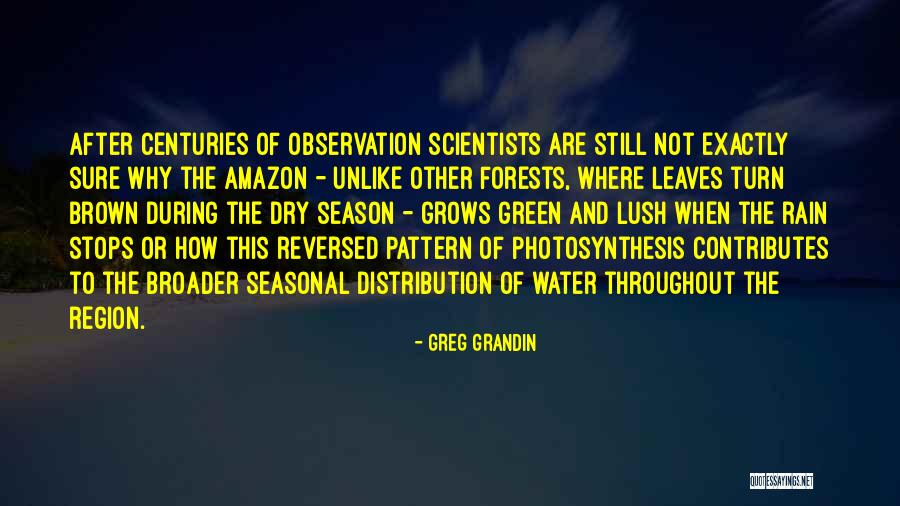 Best Amazon Quotes By Greg Grandin