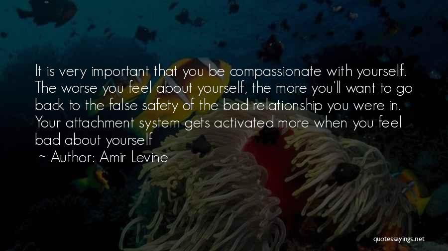 Best Amir Quotes By Amir Levine