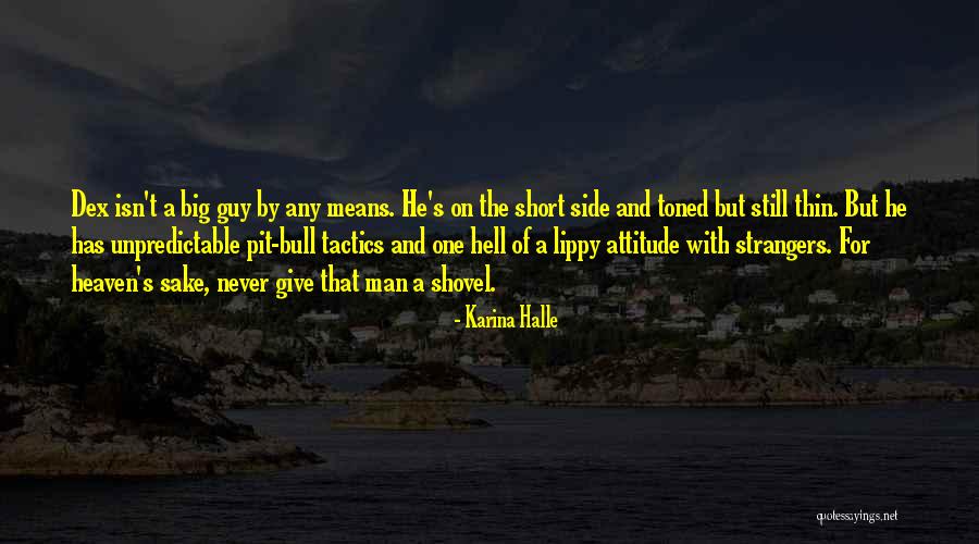 Best And Short Attitude Quotes By Karina Halle