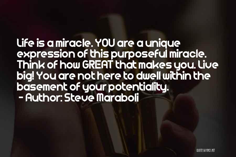 Best And Unique Love Quotes By Steve Maraboli