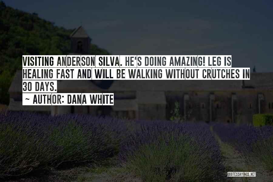 Best Anderson Silva Quotes By Dana White