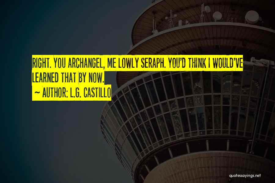 Best Angel Series Quotes By L.G. Castillo