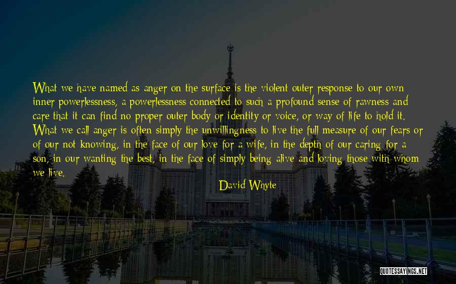 Best Anger Quotes By David Whyte