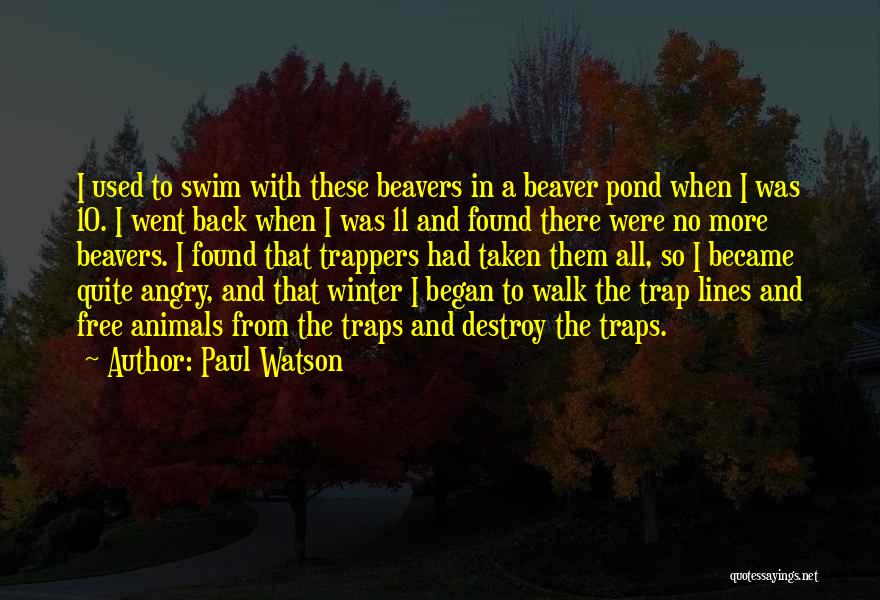 Best Angry Beavers Quotes By Paul Watson
