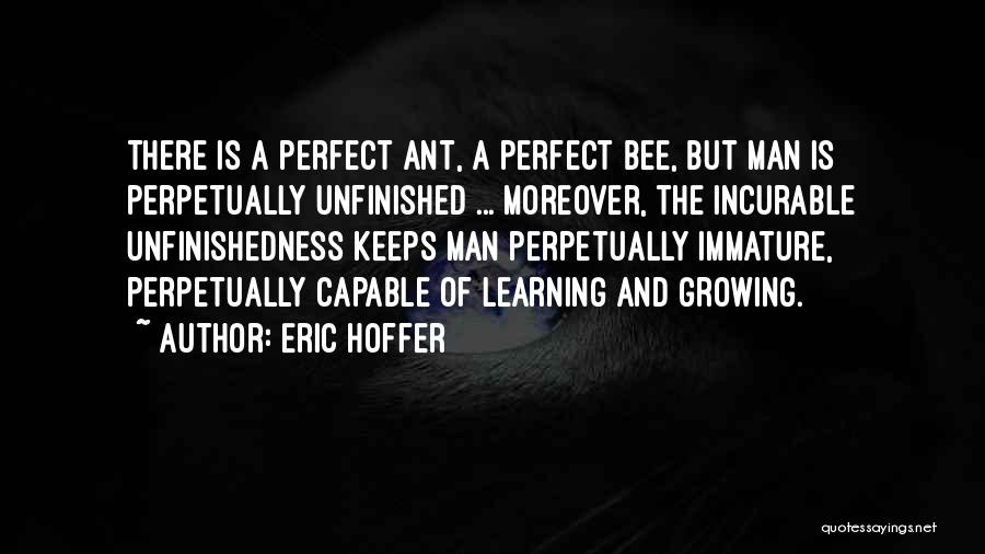 Best Ant Man Quotes By Eric Hoffer