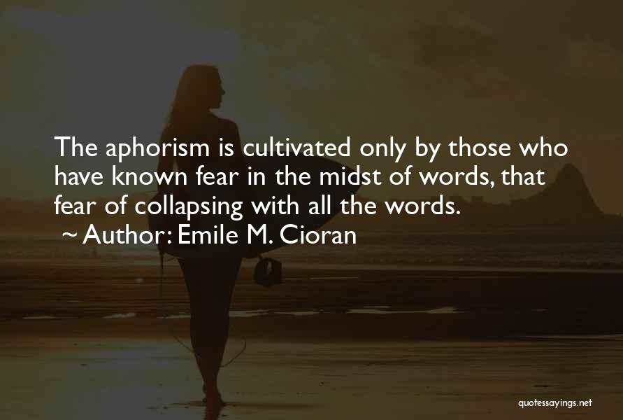 Best Aphorism Quotes By Emile M. Cioran