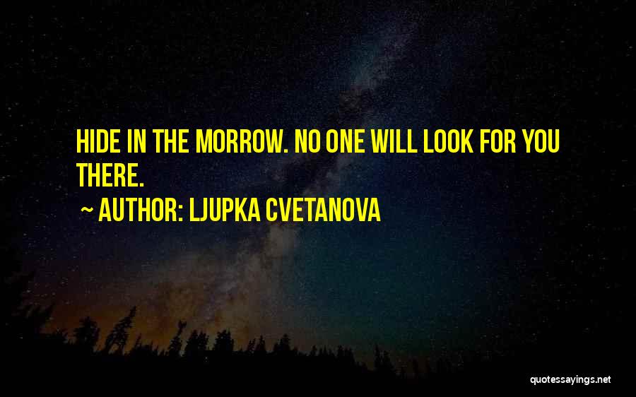 Best Aphorism Quotes By Ljupka Cvetanova