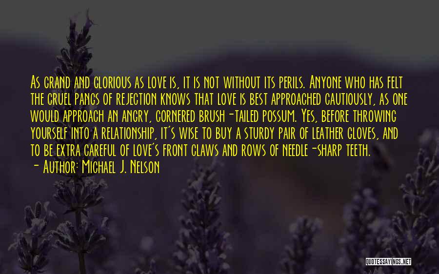 Best Approach Quotes By Michael J. Nelson