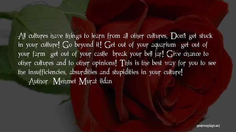Best Aquarium Quotes By Mehmet Murat Ildan
