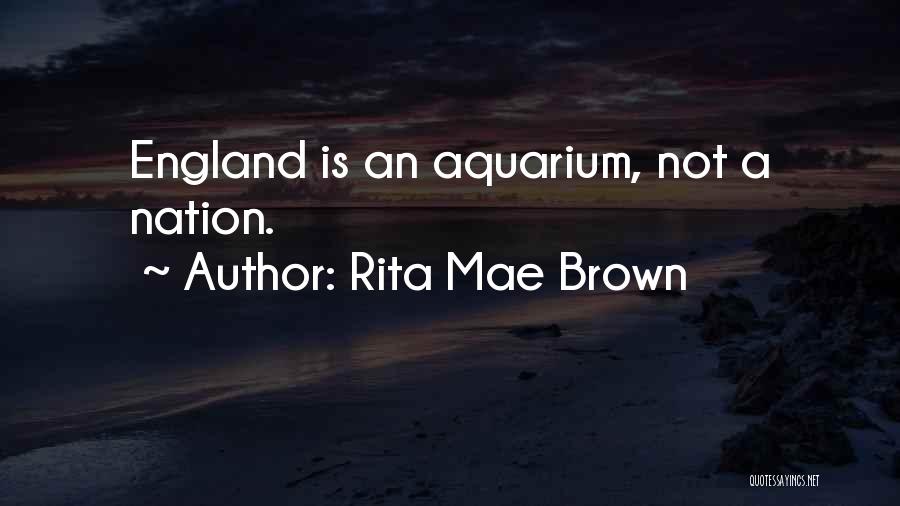 Best Aquarium Quotes By Rita Mae Brown