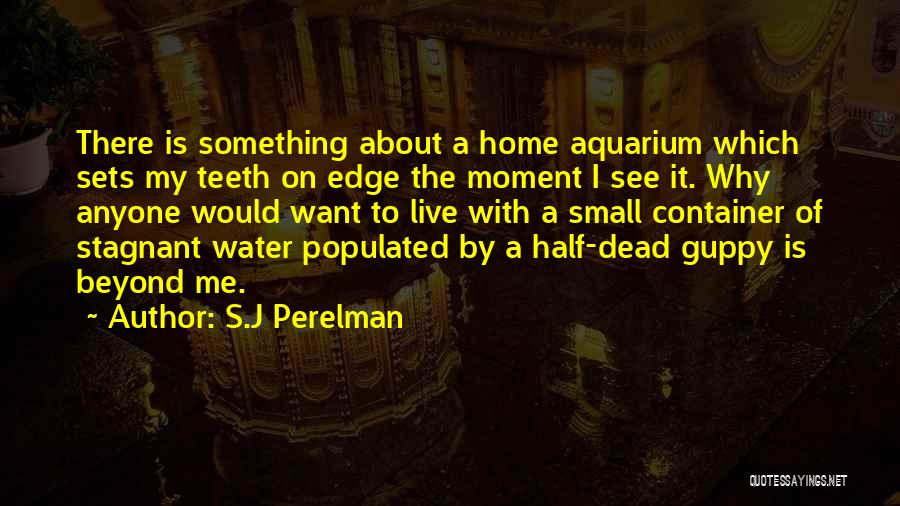 Best Aquarium Quotes By S.J Perelman