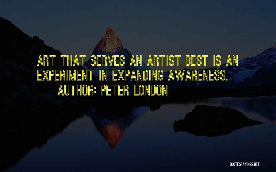 Best Art Artist Quotes By Peter London
