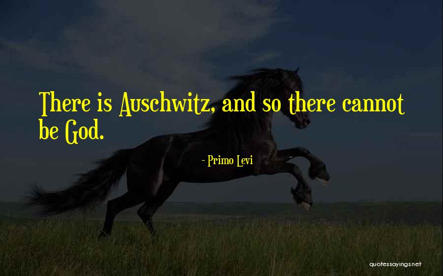 Best Atheist Quotes By Primo Levi