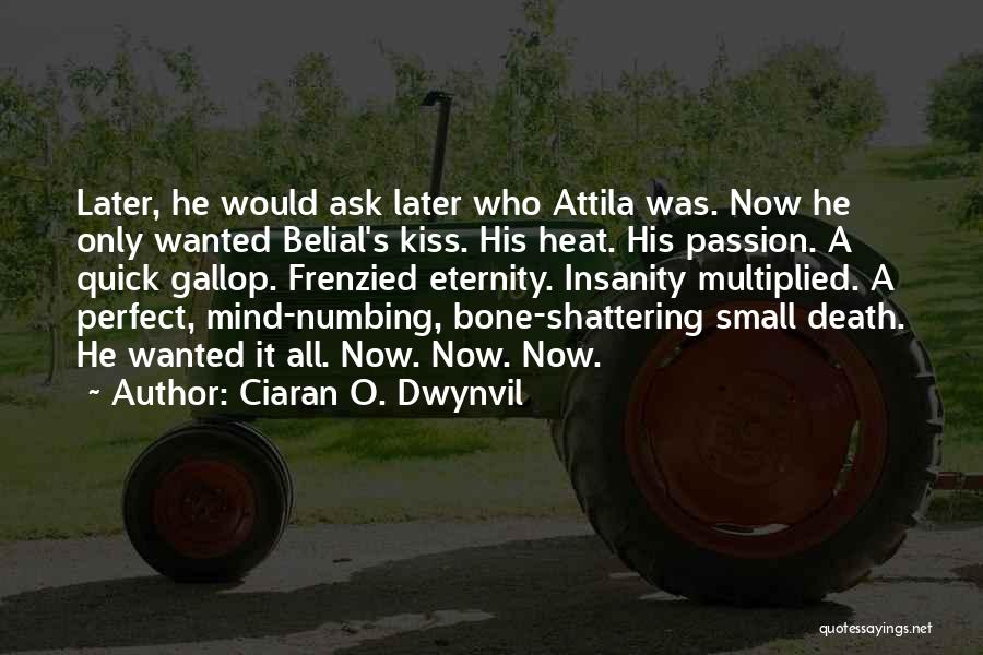 Best Attila Quotes By Ciaran O. Dwynvil