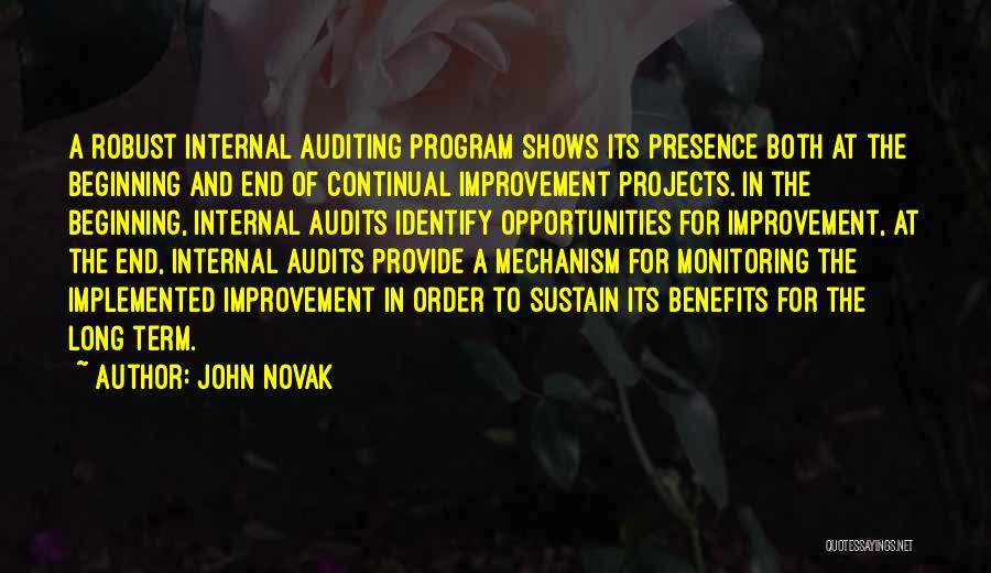 Best Auditing Quotes By John Novak