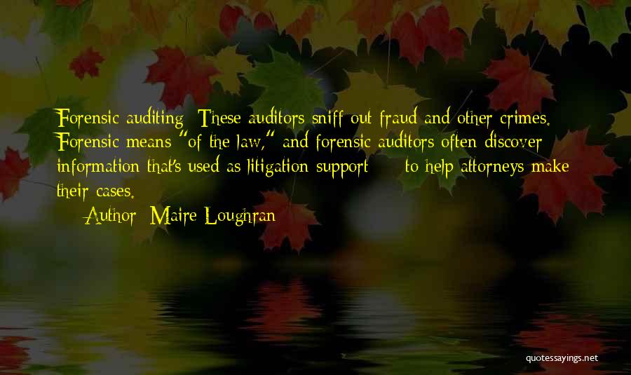 Best Auditing Quotes By Maire Loughran