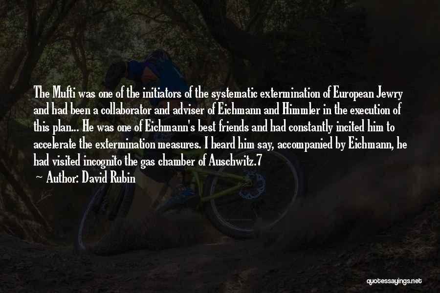 Best Auschwitz Quotes By David Rubin