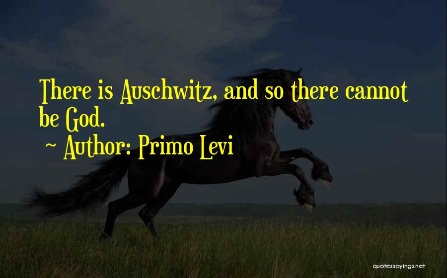 Best Auschwitz Quotes By Primo Levi