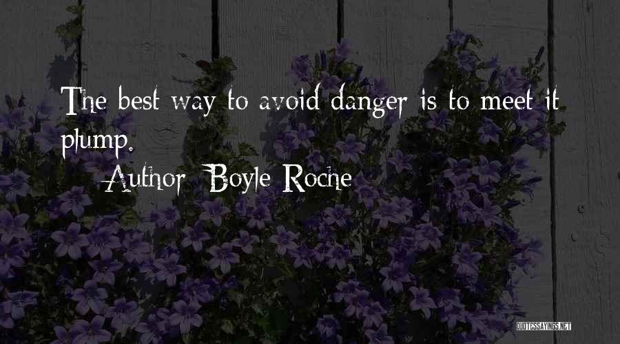 Best Avoid Quotes By Boyle Roche