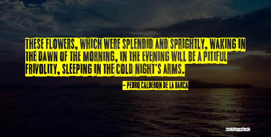 Best Barca Quotes By Pedro Calderon De La Barca