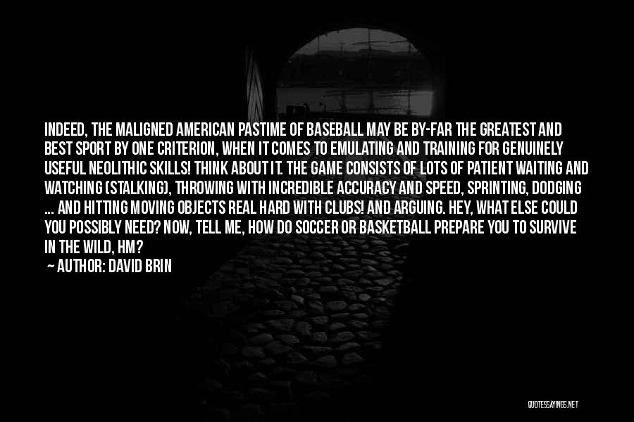 Best Baseball Hitting Quotes By David Brin