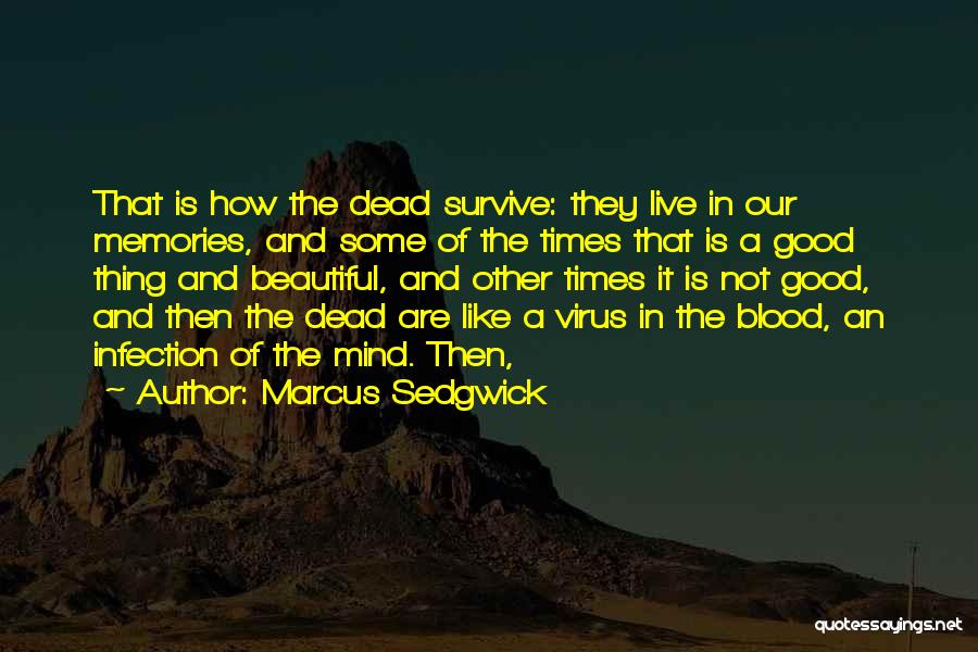 Best Beautiful Mind Quotes By Marcus Sedgwick