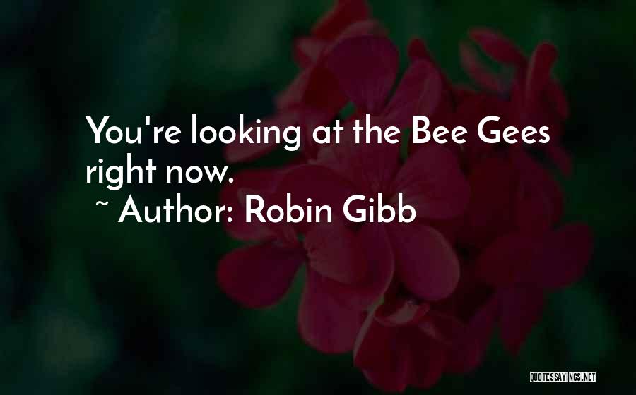 Best Bee Gees Quotes By Robin Gibb