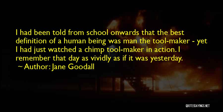 Best Being Human Quotes By Jane Goodall