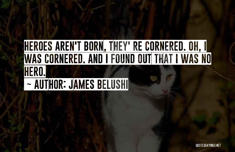 Best Belushi Quotes By James Belushi