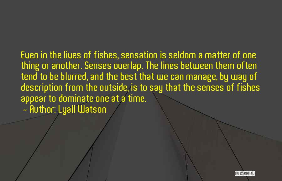 Best Between The Lines Quotes By Lyall Watson