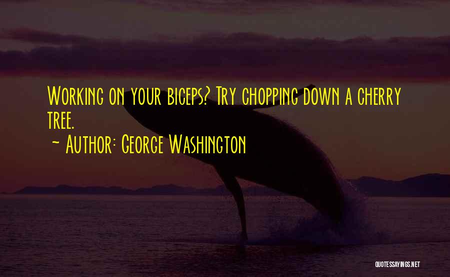 Best Biceps Quotes By George Washington