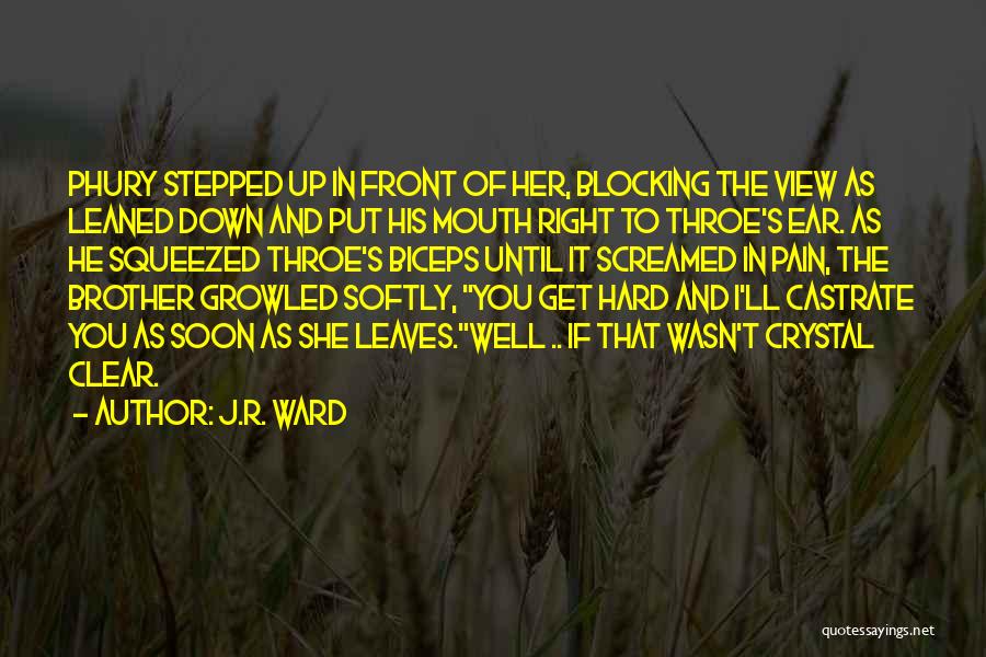 Best Biceps Quotes By J.R. Ward
