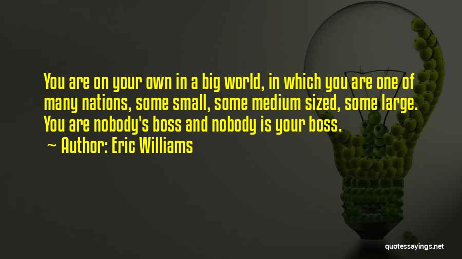 Best Big Boss Quotes By Eric Williams
